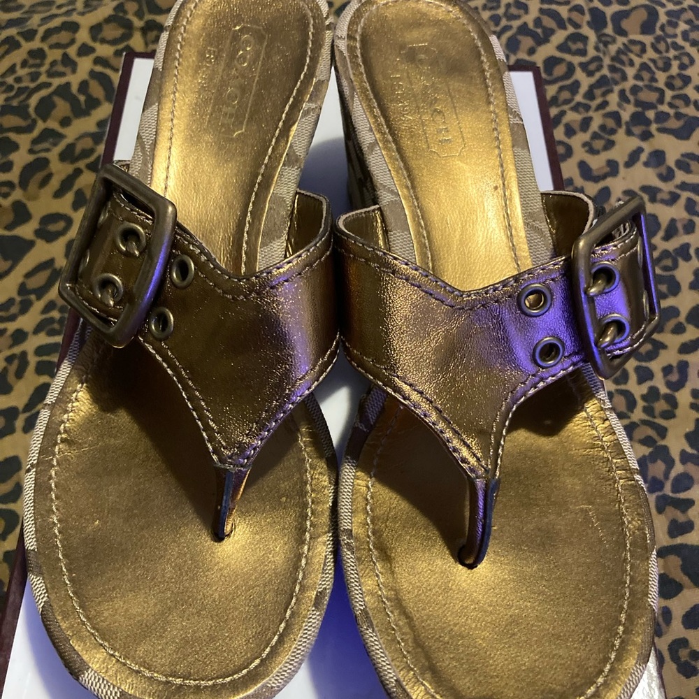 Coach Tan and Brown Wedge SandalsCoach